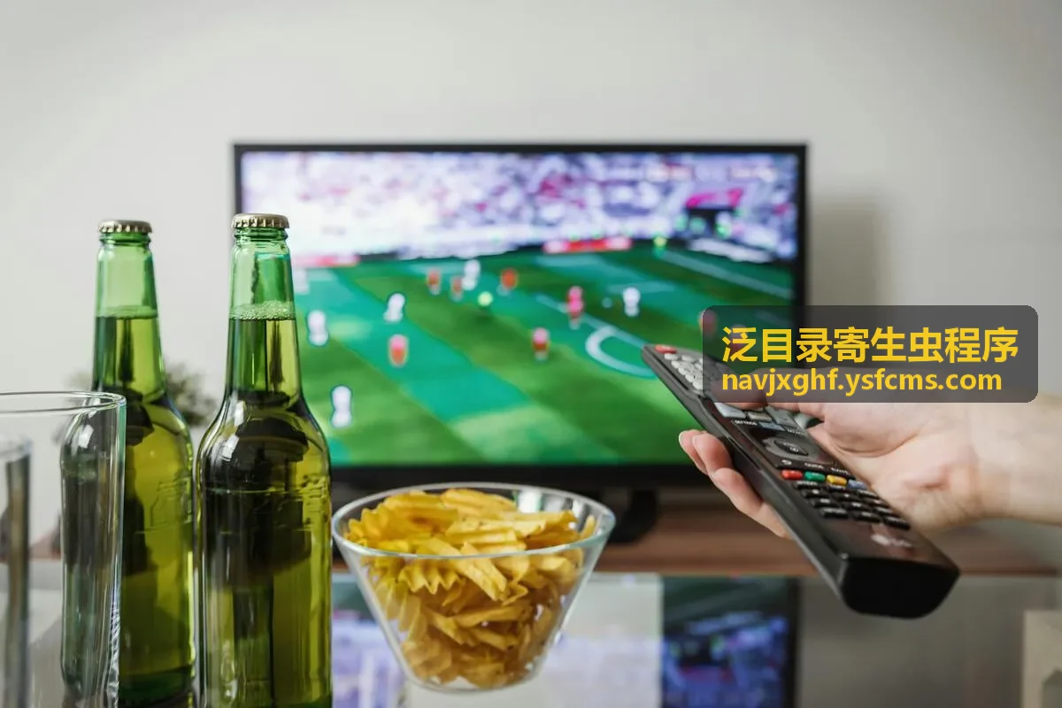 泛站群cms异常目录检查示意
